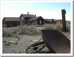 21_bodie